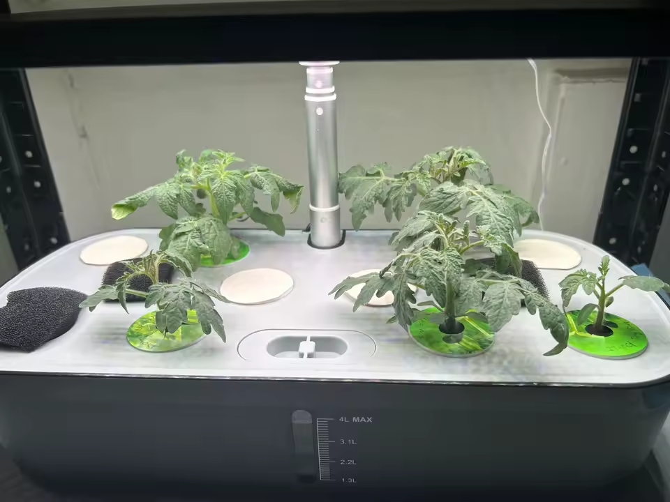 NeoGarden™- Orto idroponico 12 pod